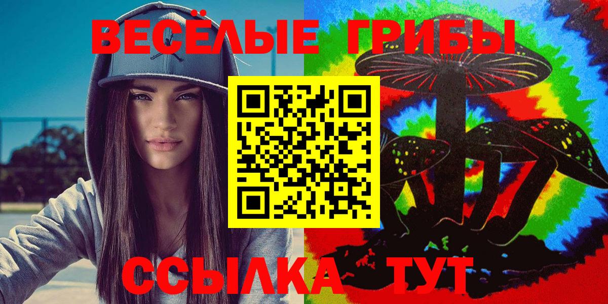Южноуральск  Псилоцибиновые грибы Psilocybe  Вход с VPN  хочу наркоту  Псилоцибиновые грибы Psilocybe 