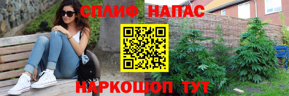 Южноуральск  Канабис OG Kush  Вход с VPN  Конопля White Widow  Канабис план 